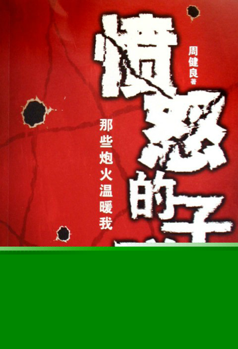 愤怒的子弹